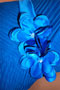 bridal party